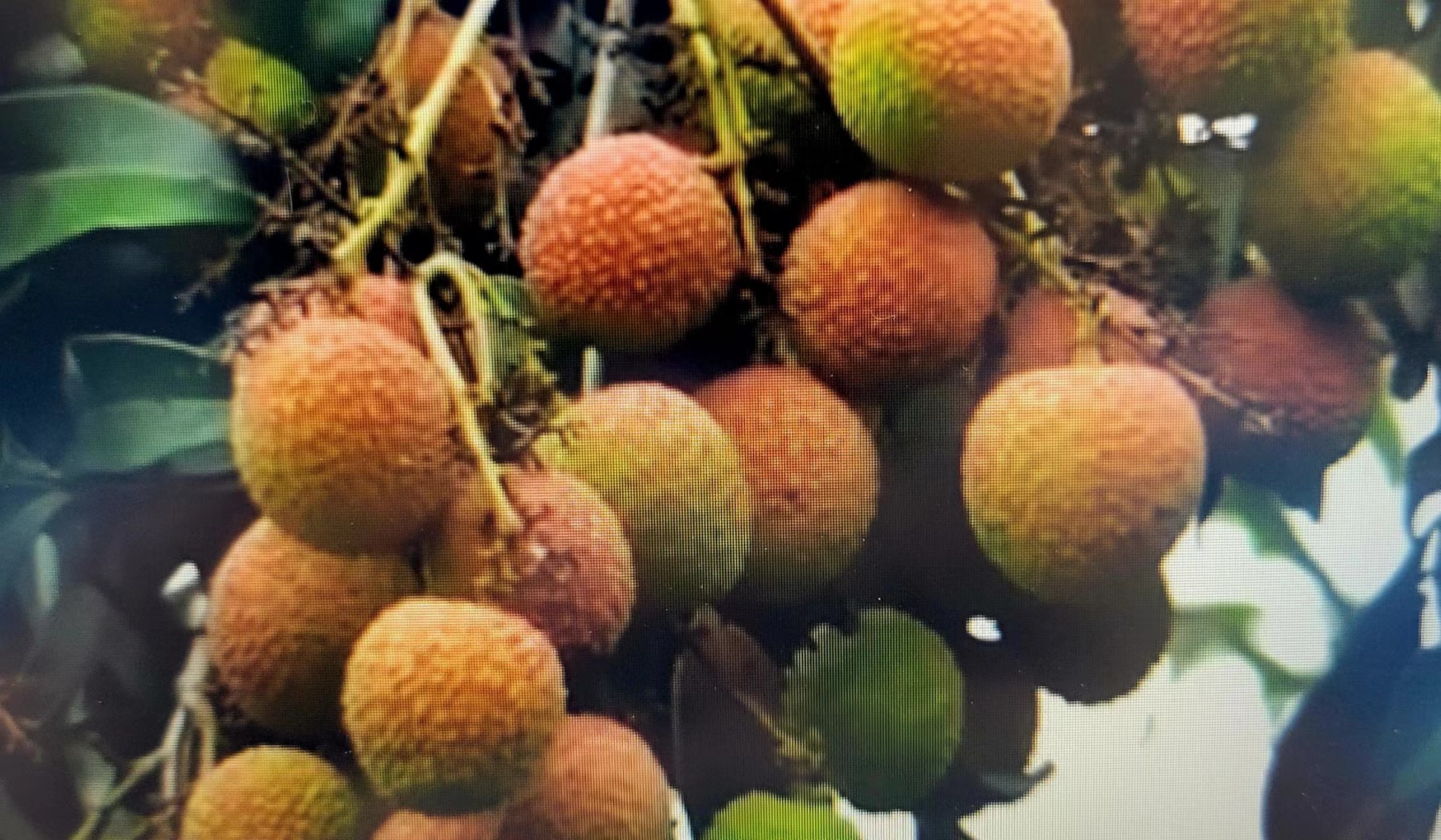 周末邀朋友小聚休闲享受周末,周末三五好友小聚喝茶品美味