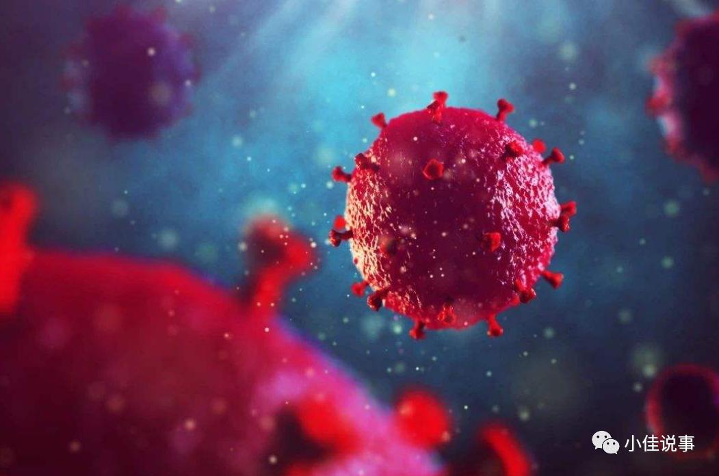 补上维生素b6和叶酸白发会转黑吗,缺乏什么维生素会出现白发