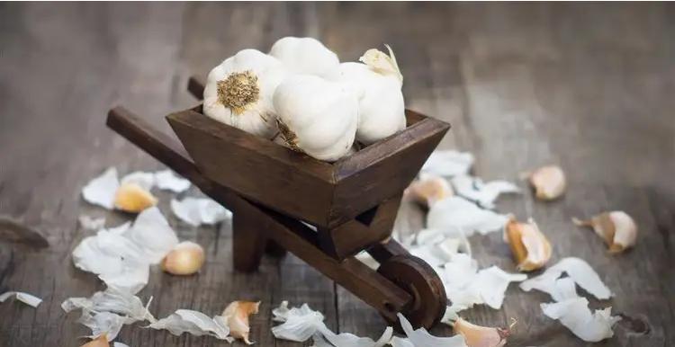 如何治蟑螂最有效的方法,房子蟑螂多怎么解决不再有蟑螂