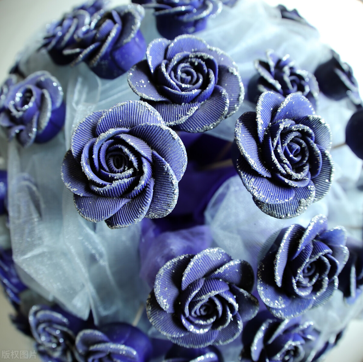 分享美图蓝色妖姬,蓝色妖姬玫瑰花美图