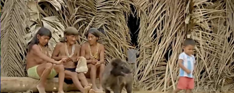 美国人在野外水中捕捉巨蟒,亚马逊河当地人水中抓巨蟒