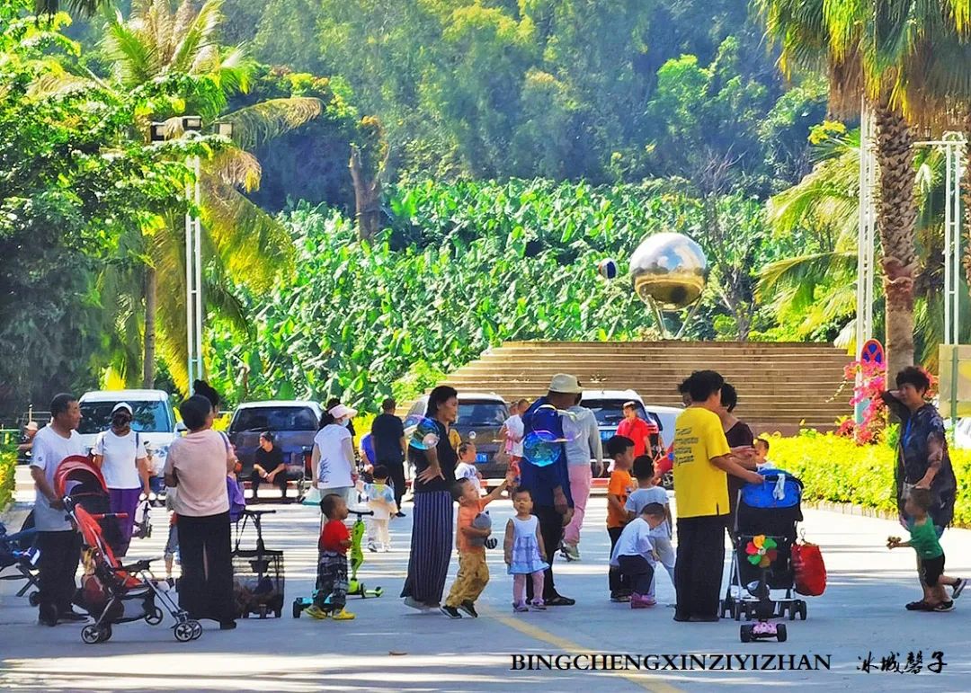 旅居海南：九所新区的浪漫情