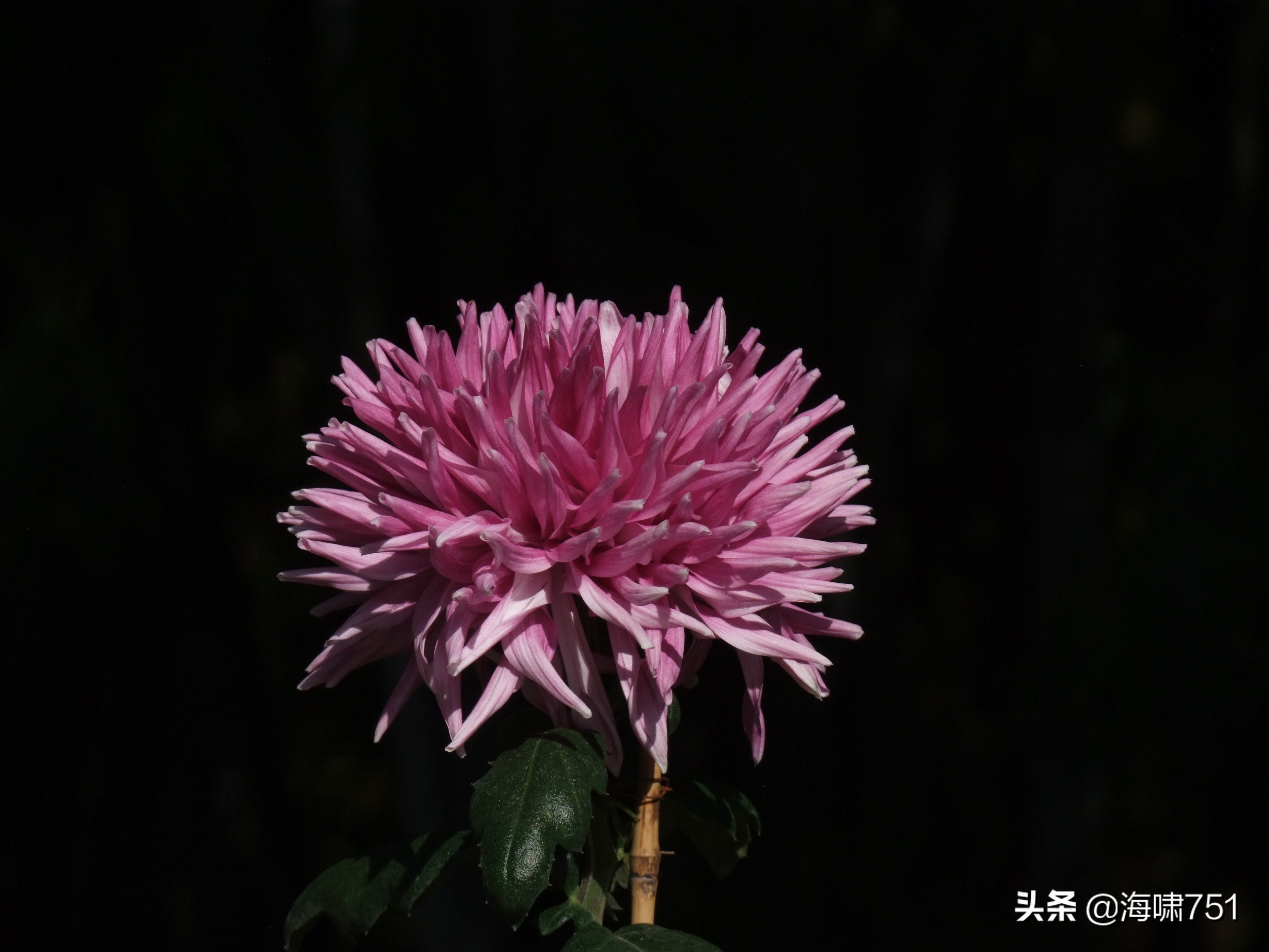 黄花岗公园开放时间,黄花岗公园停车