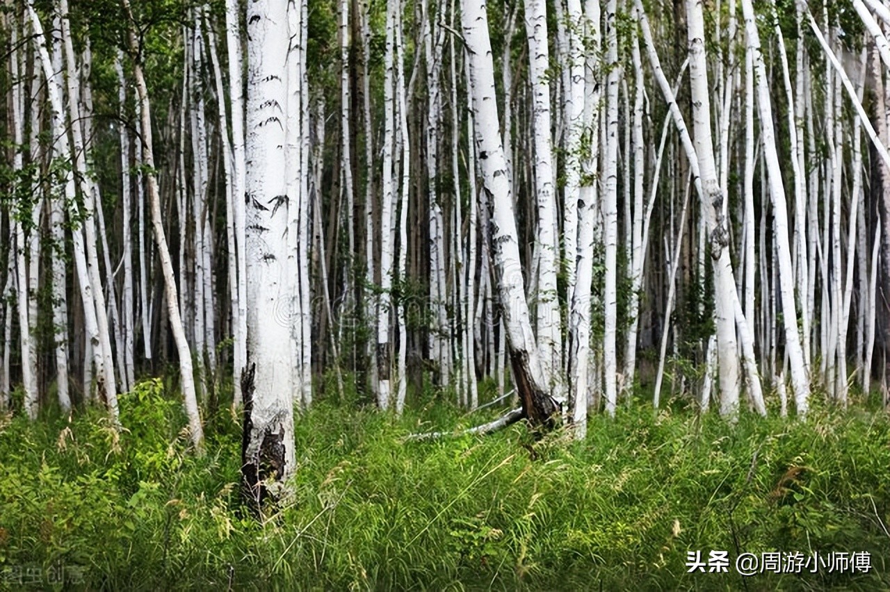 内蒙古经典自驾游路线,内蒙古精品旅游路线推荐