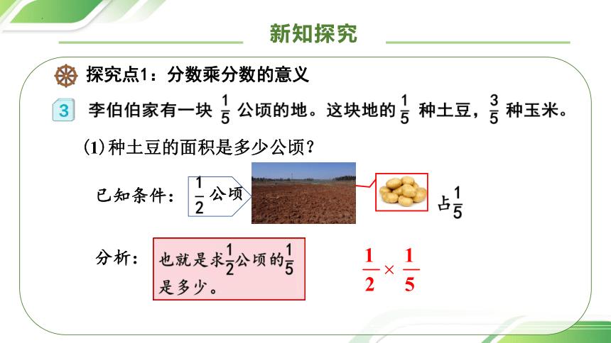六年级上册数学状元大课堂课件,六年级上册数学总复习的课件
