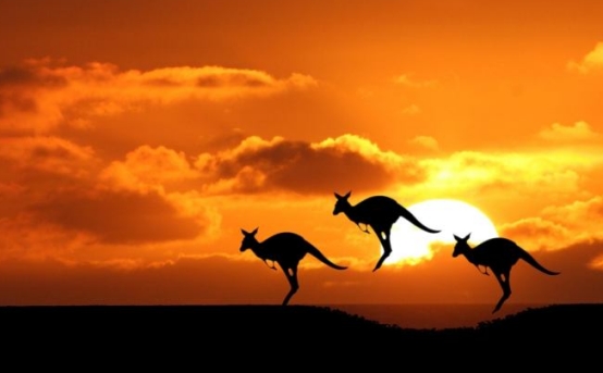 办理澳大利亚旅游签证要多少钱,2022能办理澳大利亚旅游签证吗