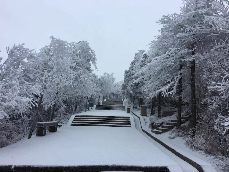 南岳拜佛详细讲解,南岳衡山烧香攻略视频