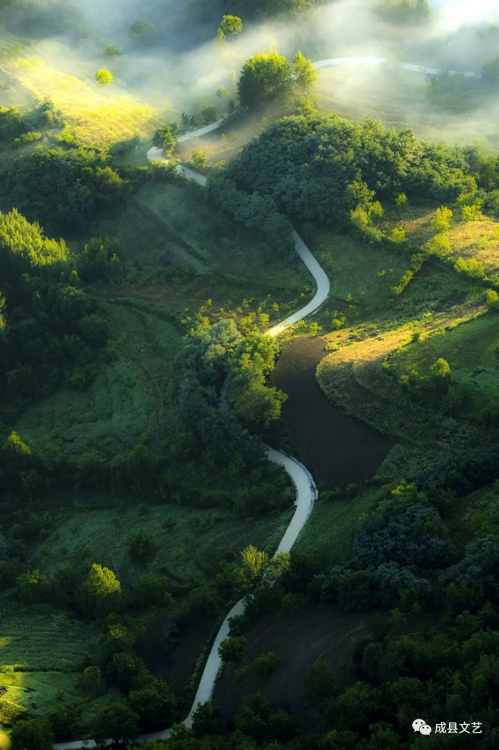 成县第二届“西狭颂文艺奖”银奖获得者作品展示