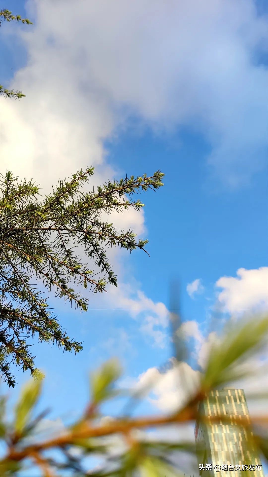 吃遍烟台玩遍美景,带你玩遍烟台