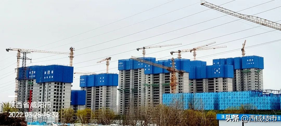 咸阳金科楼盘工程进度,咸阳所有在售楼盘价格
