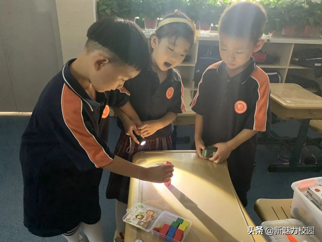 软件谷二小学区,软件谷二小怎么样