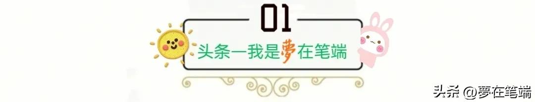 阿兰德龙和莫妮卡贝鲁奇广告,阿兰德龙和莫妮卡贝鲁奇什么关系