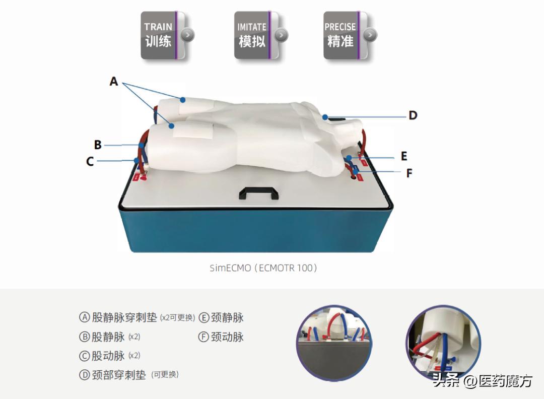 ecmo璁粌绯荤粺,鐮斿彂ecmo绯荤粺