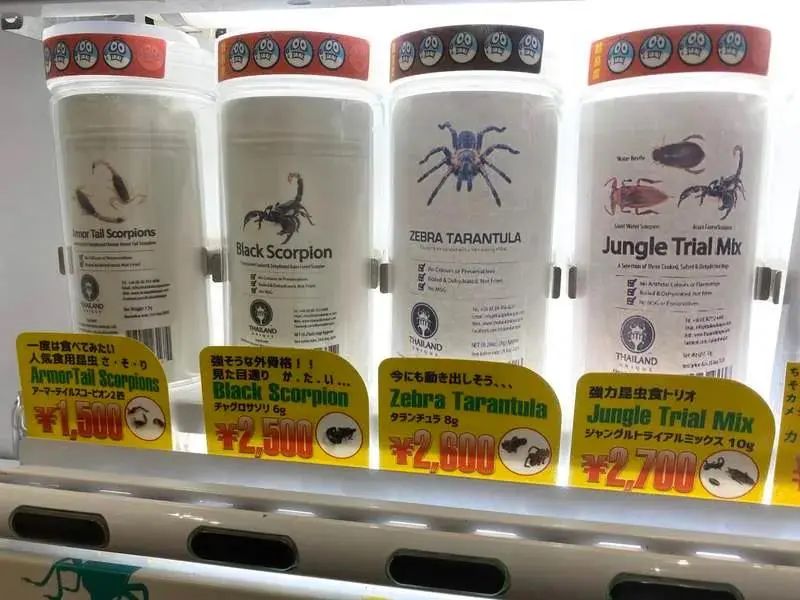 日本活体昆虫自助售卖机,日本街头自动售卖机都卖啥