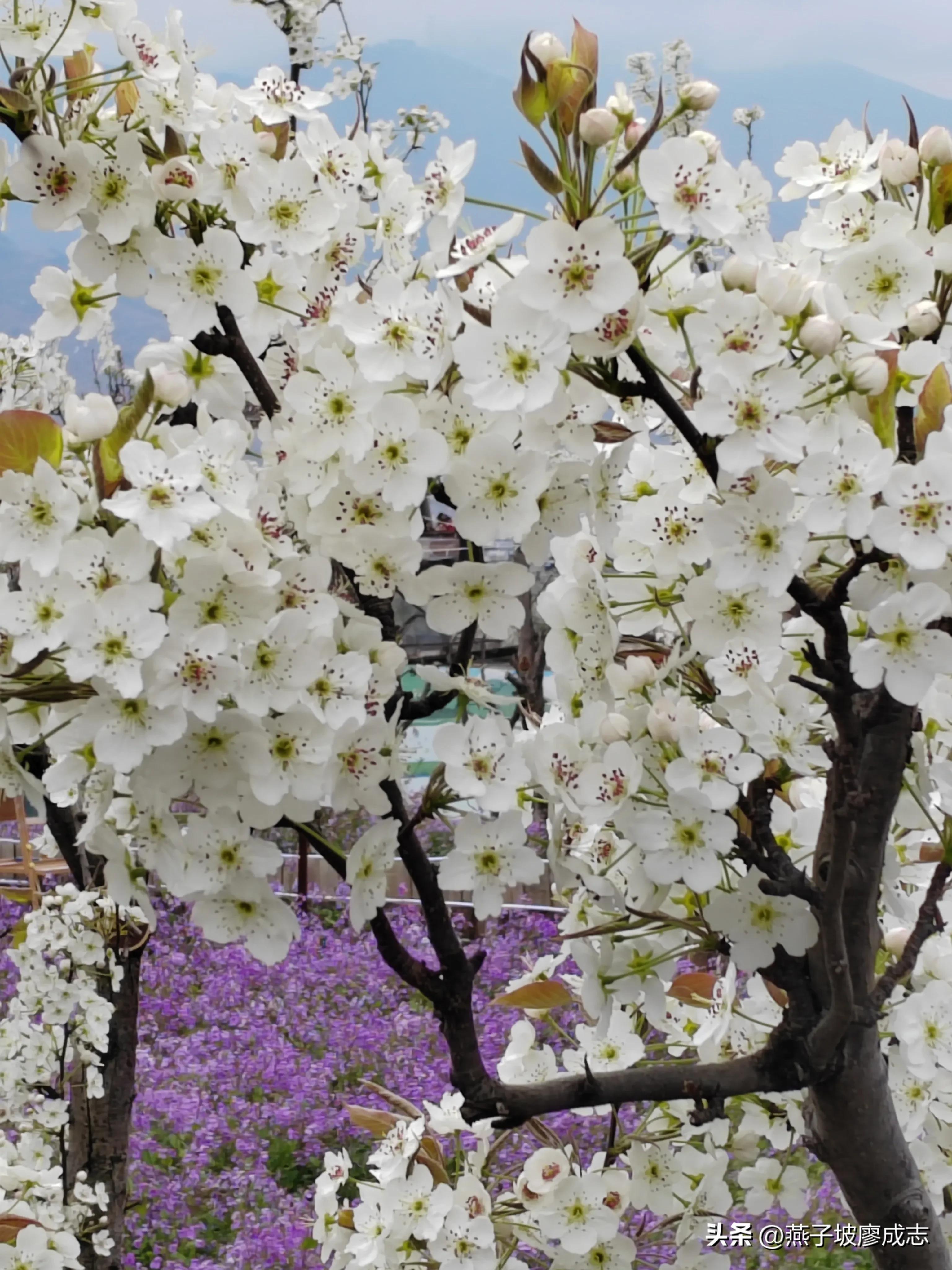 革命薪火,革命薪火代代相传绘画