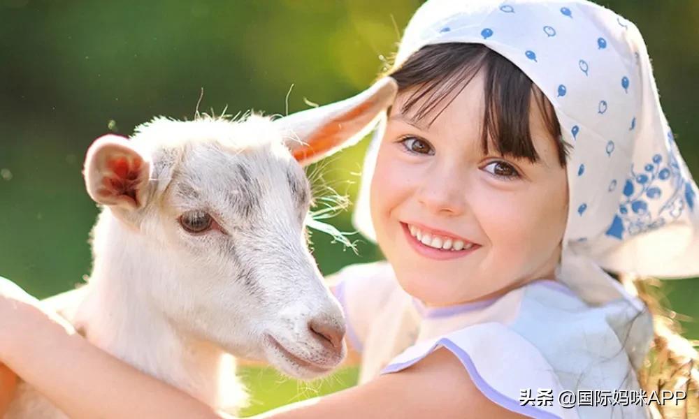 婴儿羊奶粉推荐0-6个月新生儿奶粉,婴幼儿羊奶粉主要看什么