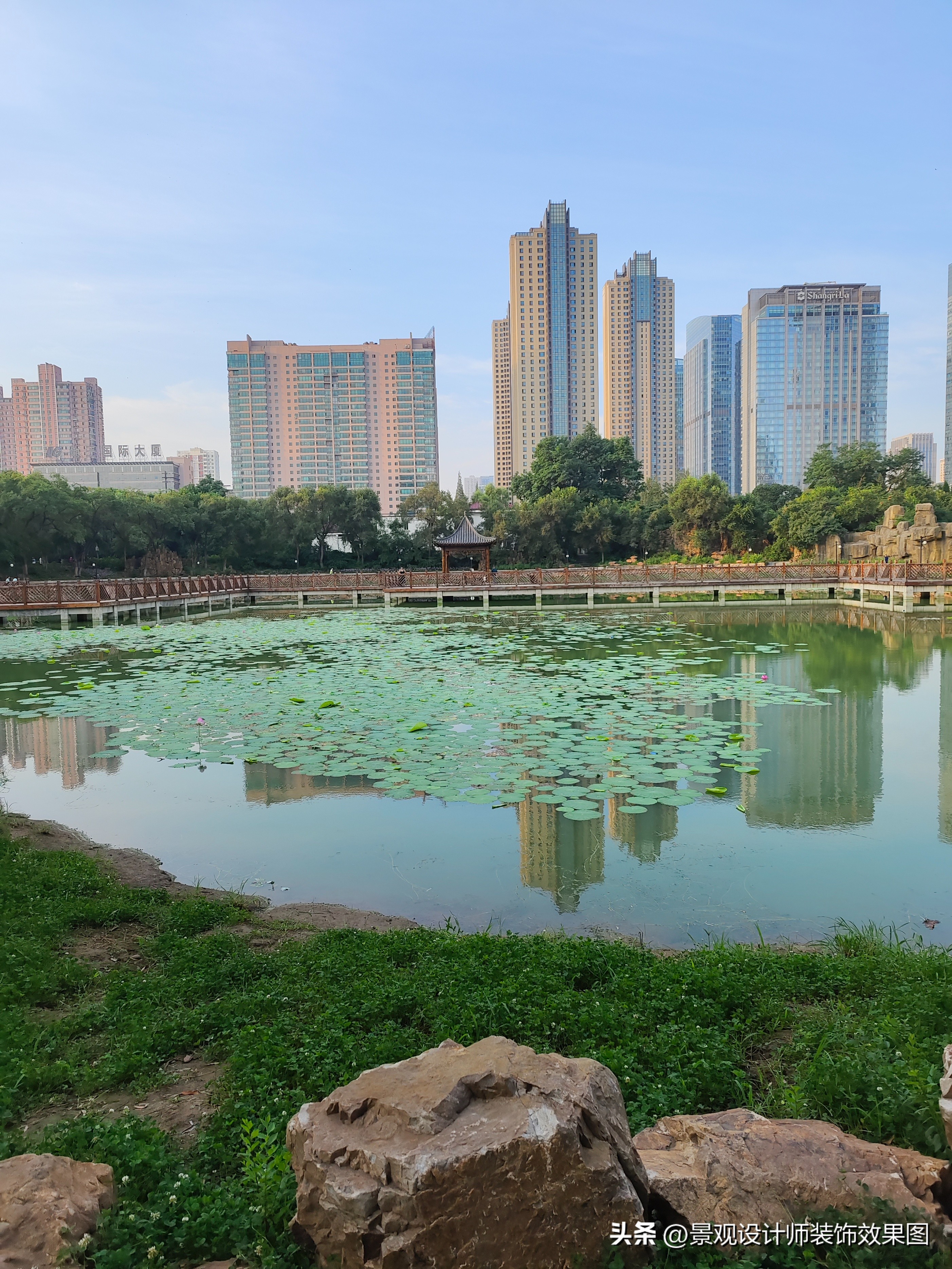 沈阳青年公园所在地,沈阳青年公园