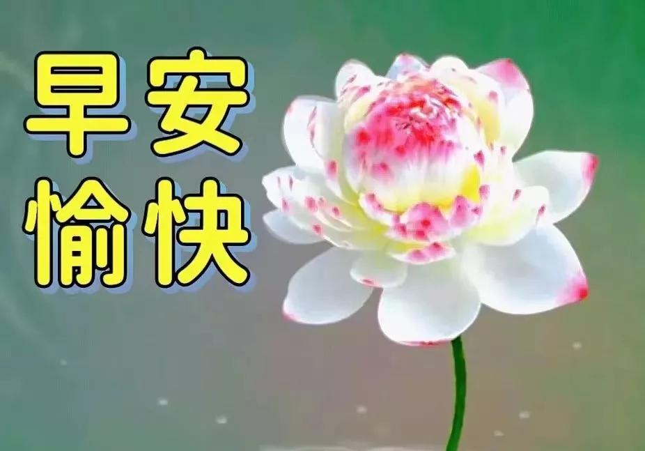 早上好图片带字早安问候语大全,早上好最新图片带字早安语