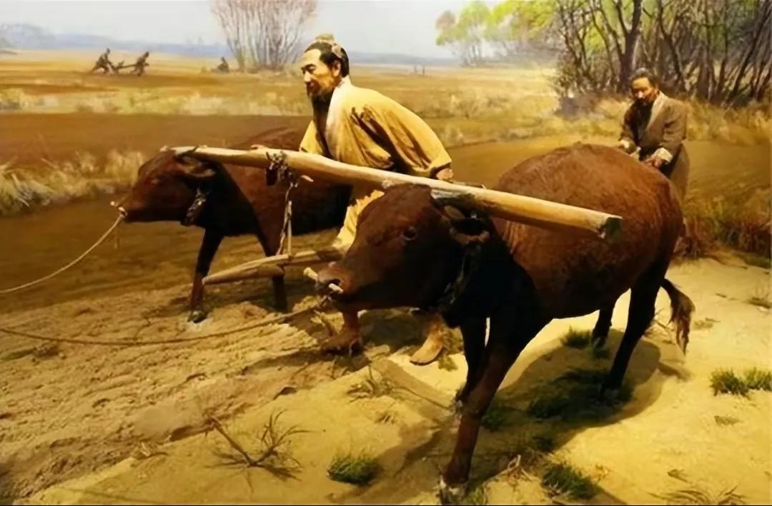 回族不吃猪肉,满族不吃狗肉,古代汉族也有不吃的肉