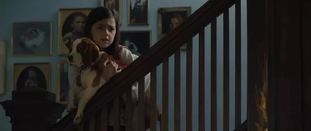 聪明的贝利，表明了动物与人之间的羁绊，表明动物也是有生命的