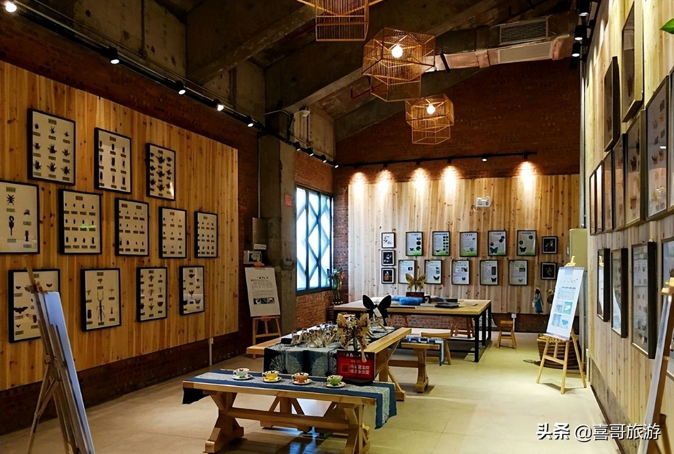 湛江雷州旅游景点大全地图,广东湛江雷州旅游景点