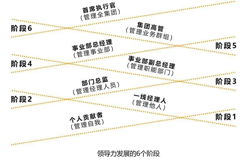 管理理论60秒学会,掌握管理技能