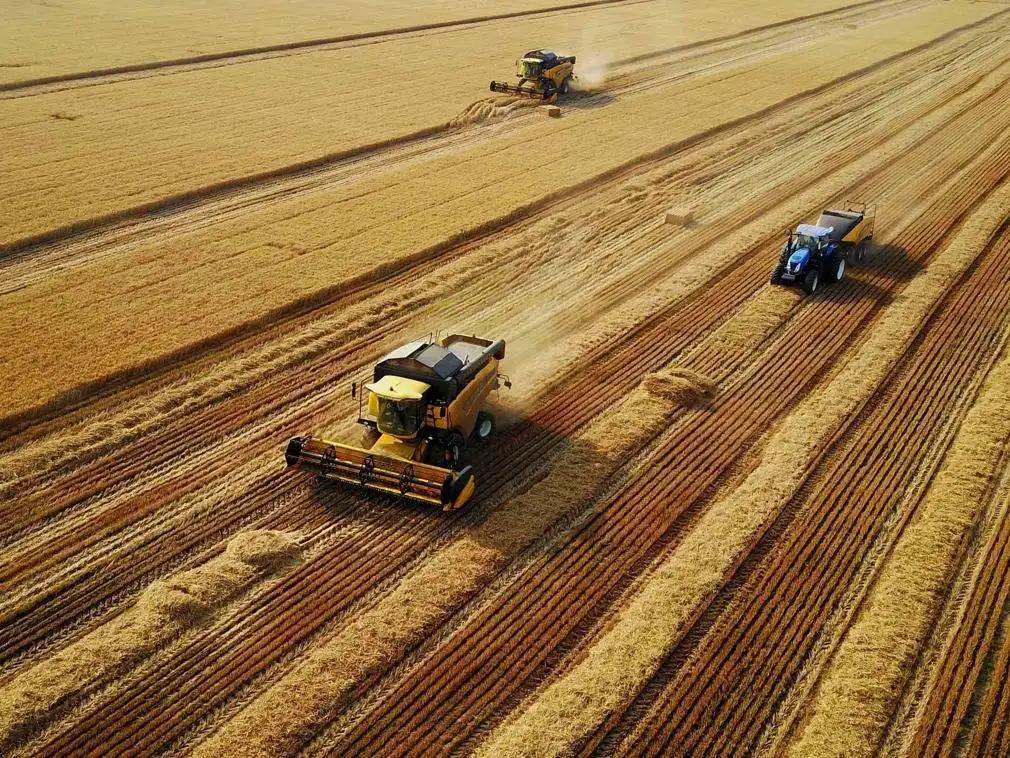 俄罗斯的底牌有多强大,浅谈俄罗斯的现状
