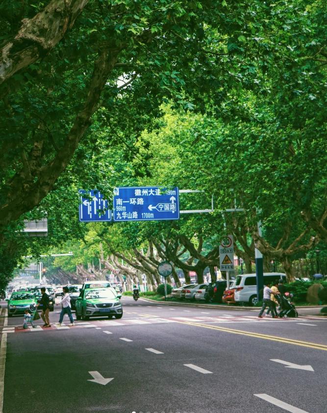 去合肥旅游回来后，说说我对合肥的看法