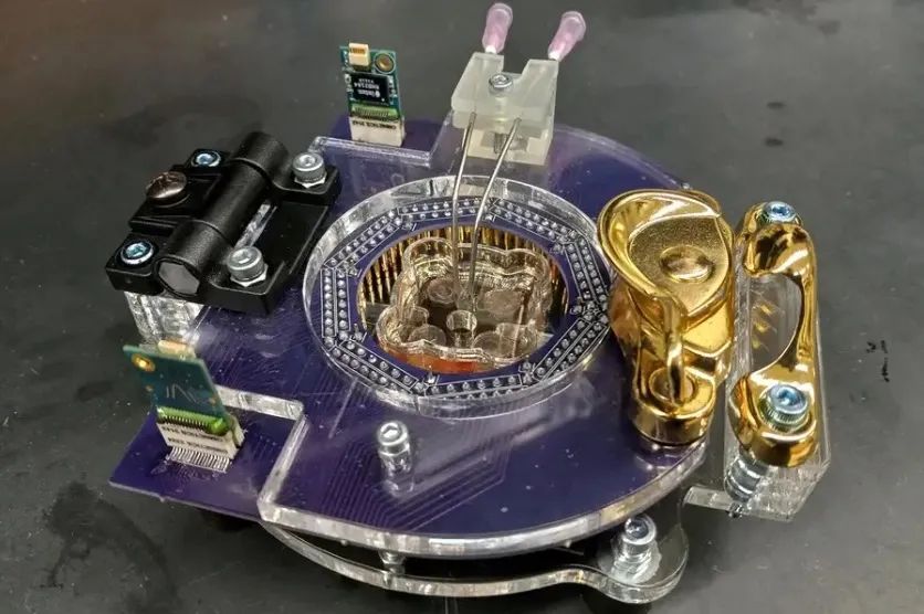 不用花钱就能买到小型电脑,如何买到适合自己的电脑