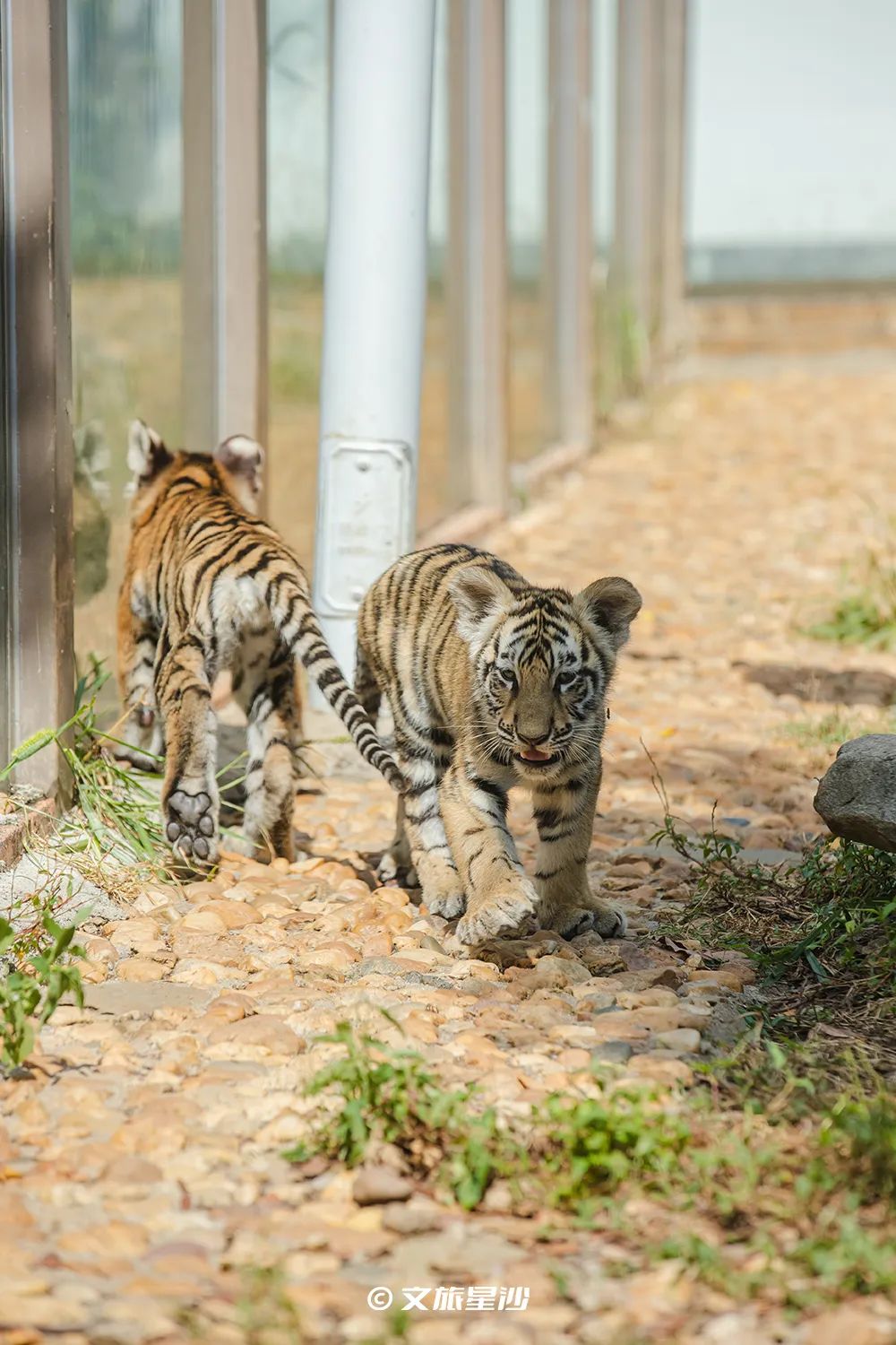 星沙五一去哪里玩,夏季长沙星沙吃喝玩乐攻略