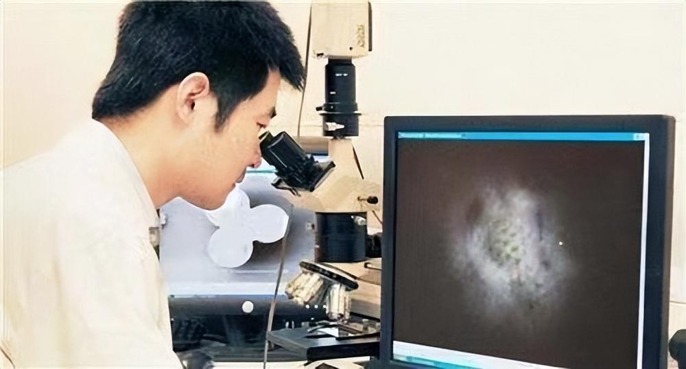 辽宁男人用18万买下了奇石,辽宁男子花5000万买下原石