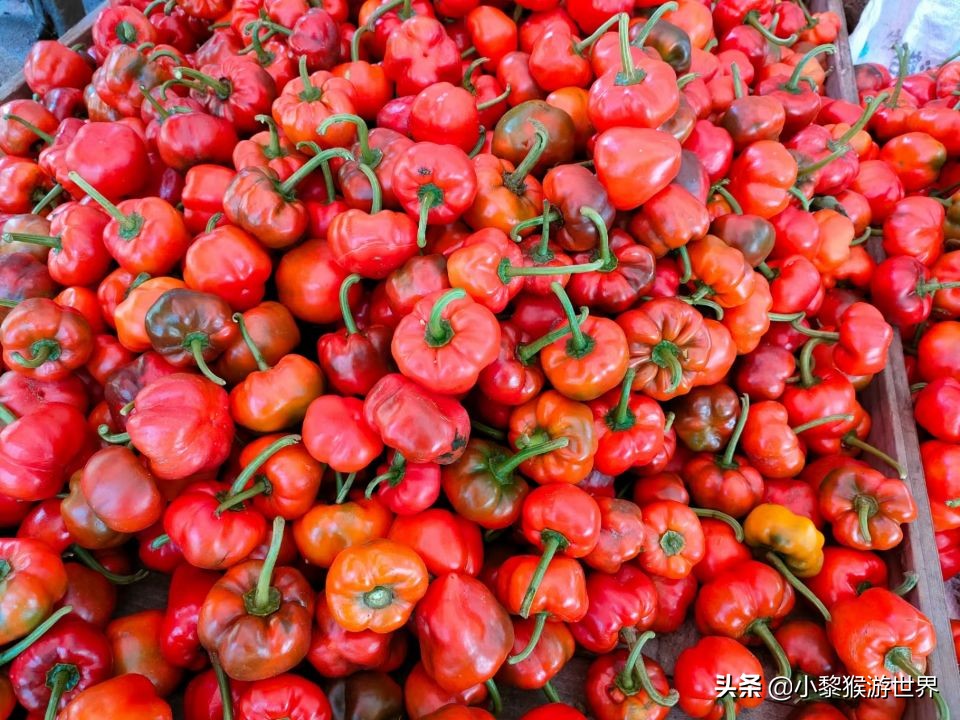 冬季安徽最佳三日游,安徽大别山旅游攻略一日游