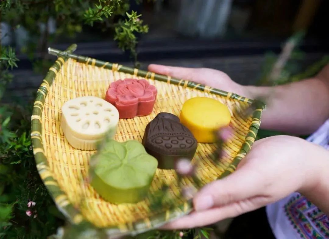 “屯”点时间，“昱”见春天｜美景篇之花朝节