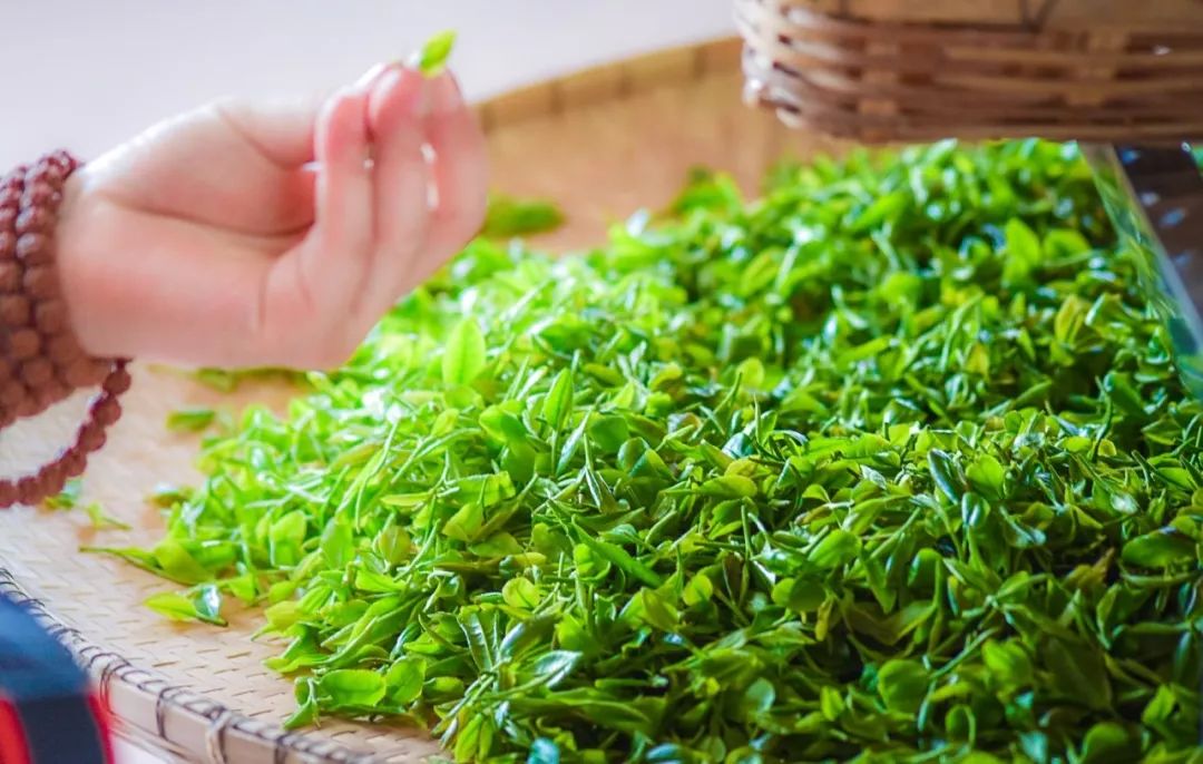 四字茶名字诗意有韵味,与茶有关的好听的名字