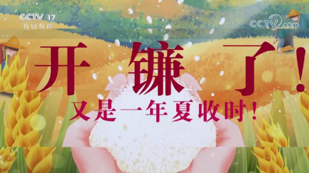 乡村振兴中国行大型融媒体,传承乡土文化助推乡村振兴