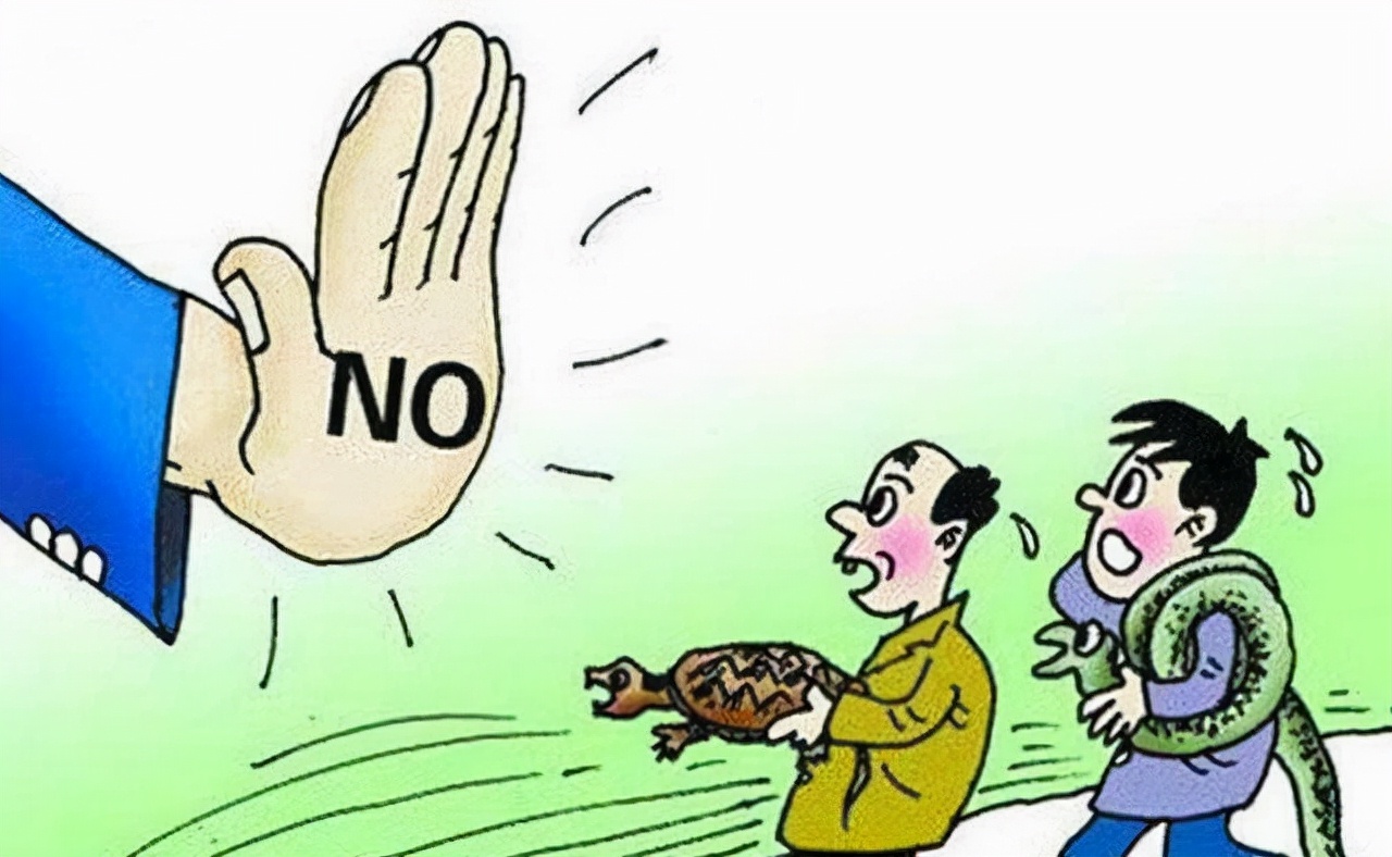 抓野兔被抓怎么处罚,男子抓野猪被民警抓