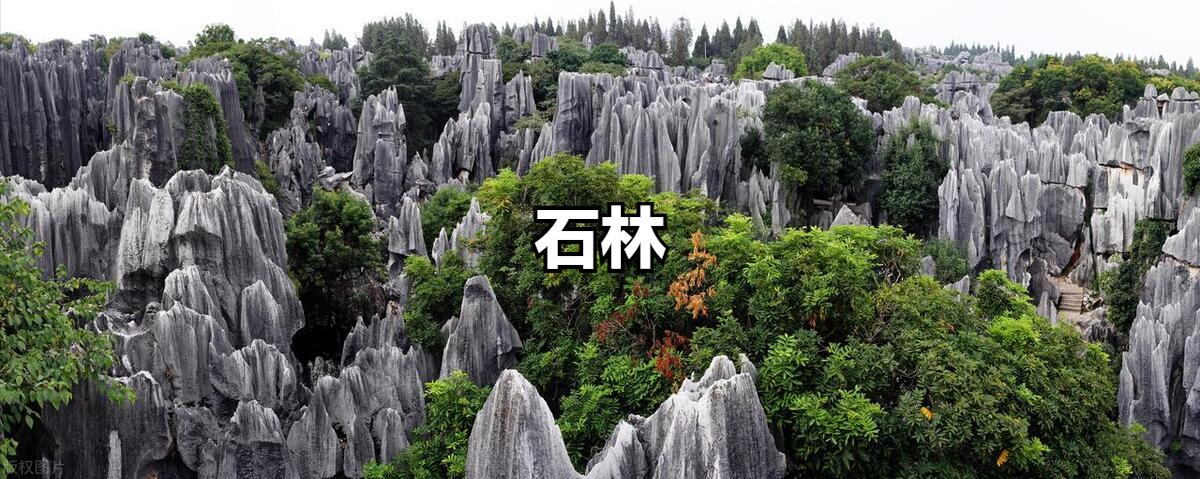 昆明旅游攻略旅游团,云南昆明旅游团有哪些