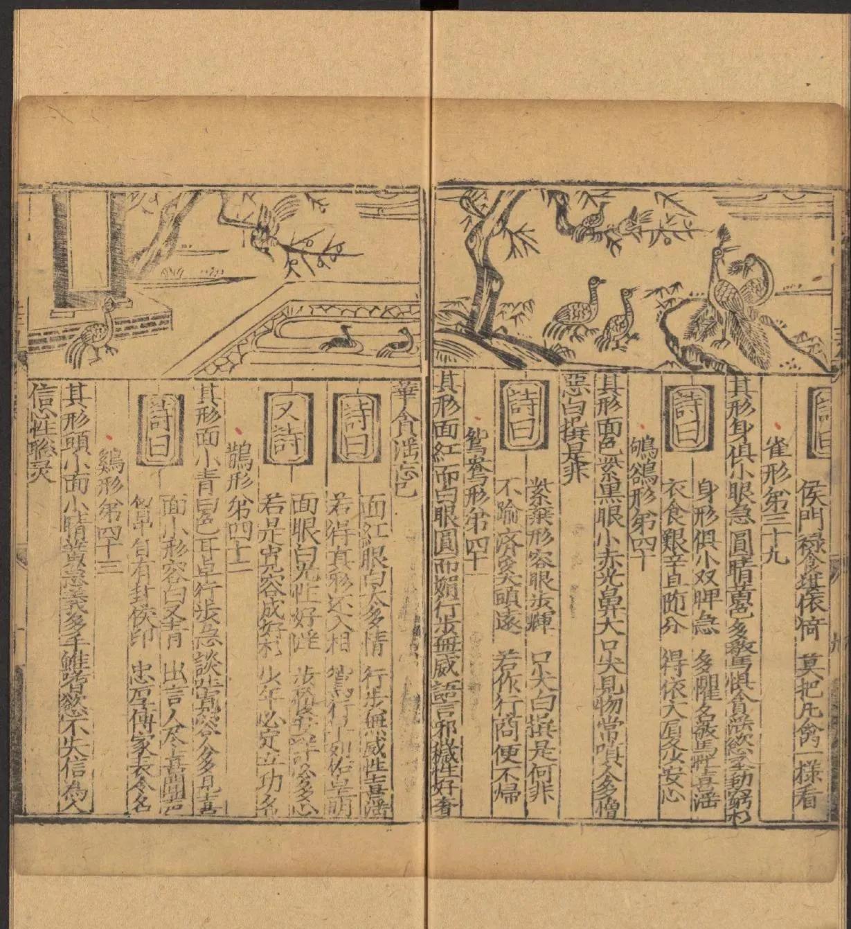 鎰熺煡鍘嗗彶鍝佸懗鏂囧寲缁忓吀,楹荤鐩告湳