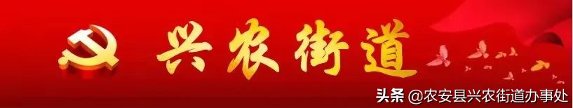 閲戠鑺卞洯灏忓尯涓氫富璇勬祴,閲戠鑺卞洯涓氫富缁存潈