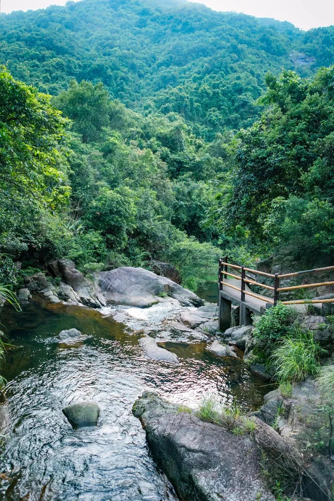 深圳最值得爬的景点,深圳十大最值得爬的山