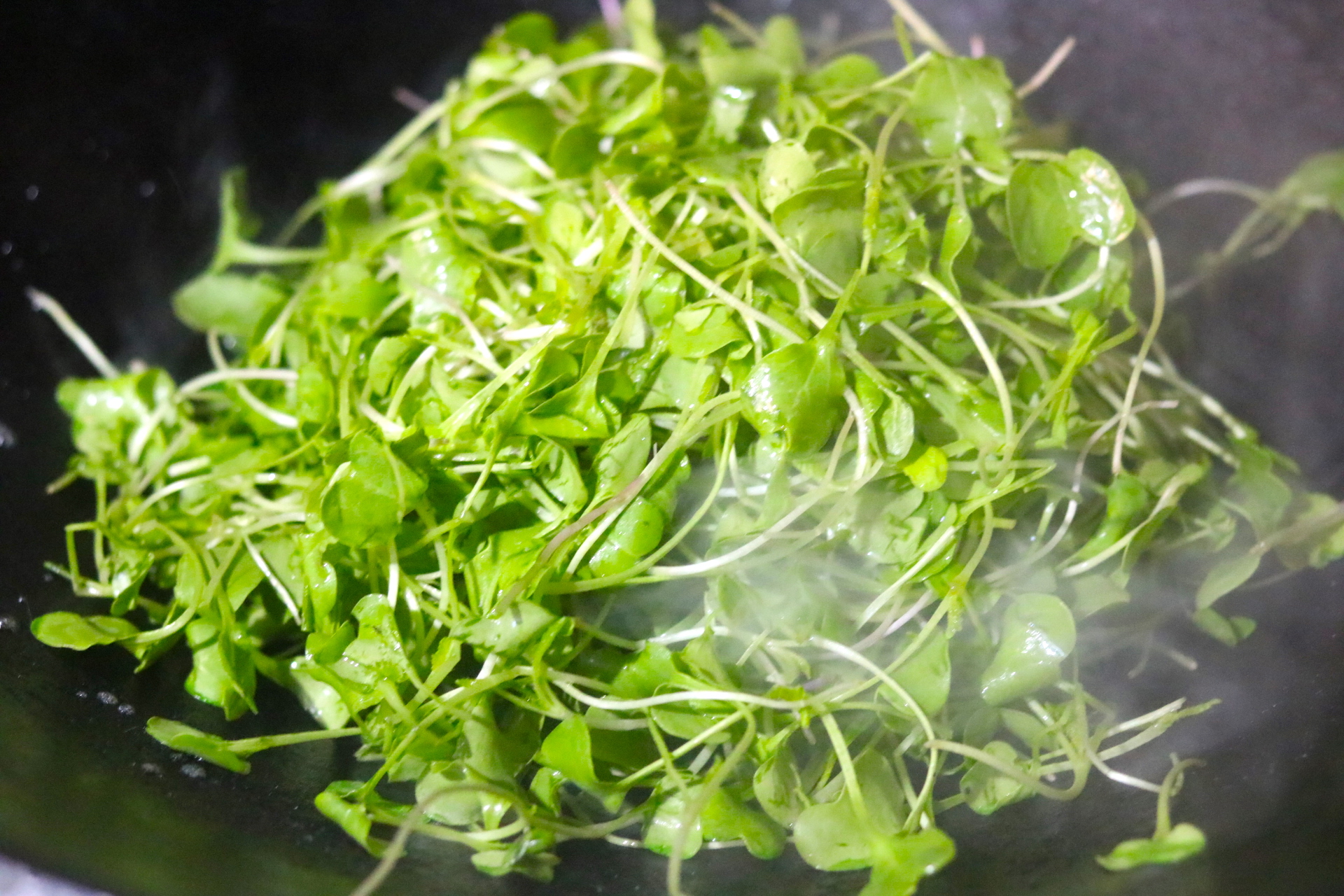 阳变阴要怎么调理体质,阳转阴饮食需要注意什么