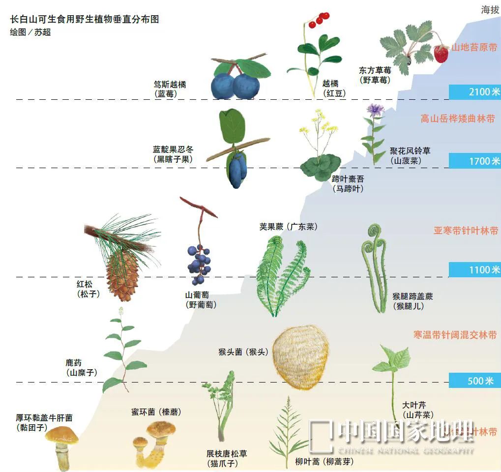 东北偏僻山村真实生活,东北冷不冷的真实生活