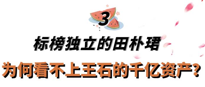 田朴珺与王石婚姻,田朴珺与王石现状