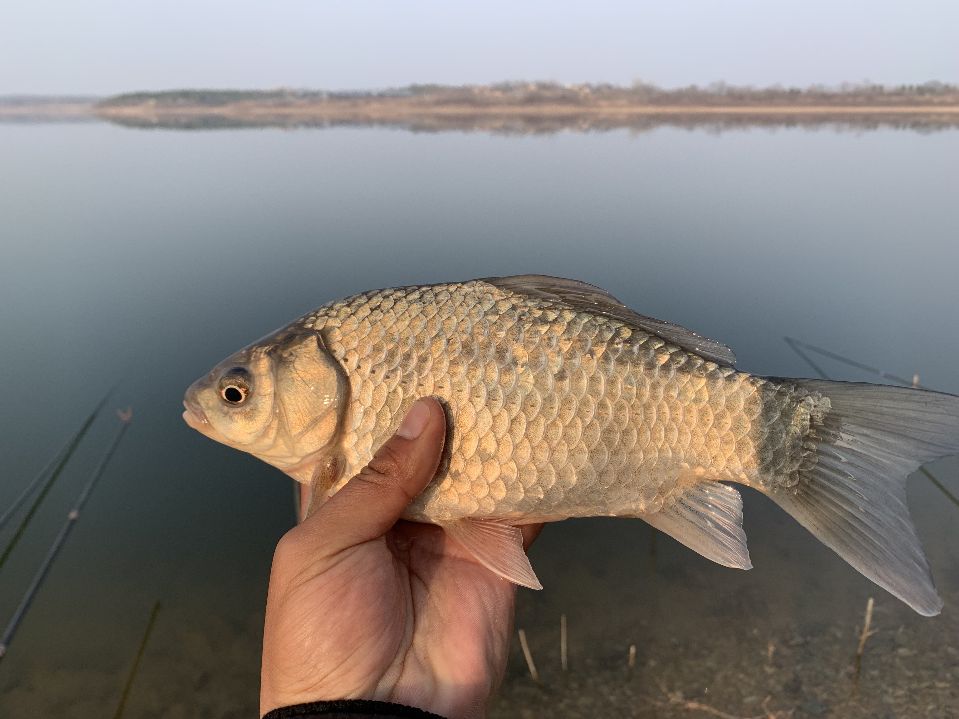 七星漂看不见动作,长竿七星漂看不清怎么办