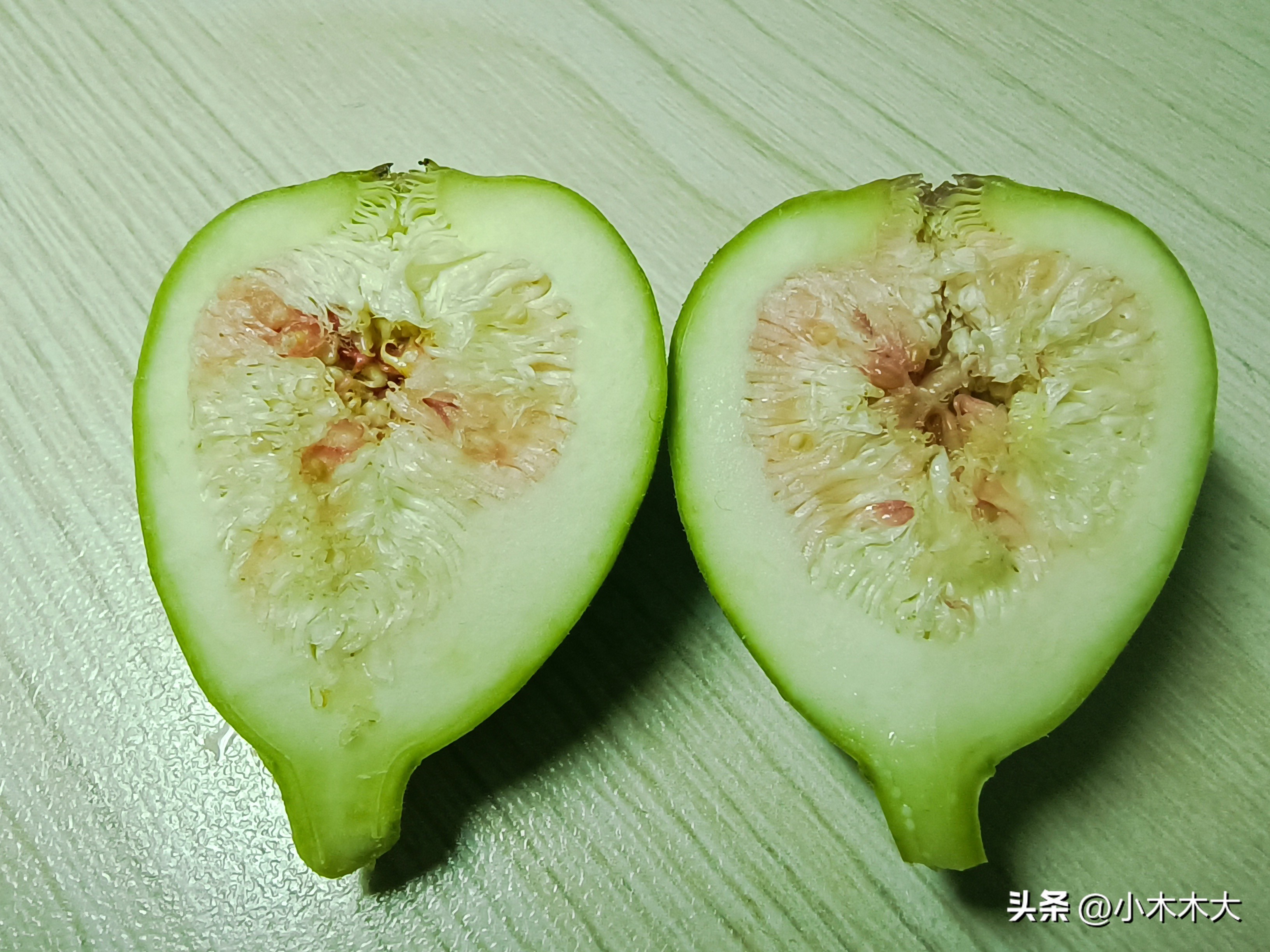 走进果实的世界我发现了什么,走进无花果的世界