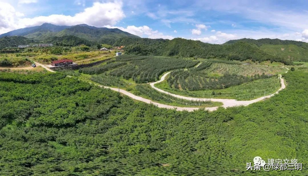 缤纷水果季即将开始！来建宁释放夏日多巴胺