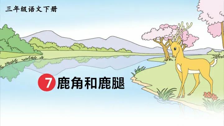 美丽的鹿角出自哪里,美丽的鹿角朗读