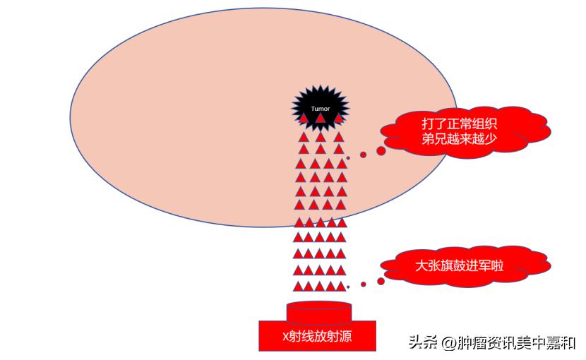 抗癌圣品真的有用吗,抗癌成功的原理和治疗方法