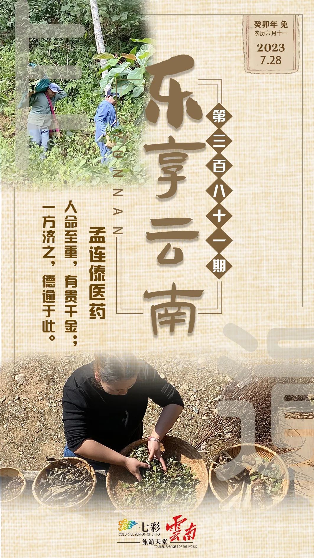 傣医药非遗文化,乐享云南非遗大理白族民居彩绘