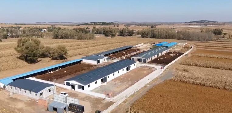 库伦旗养殖新政策,库伦旗养殖致富